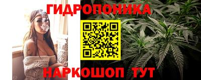 ГАЛЛЮЦИНОГЕННЫЕ ГРИБЫ Татарск