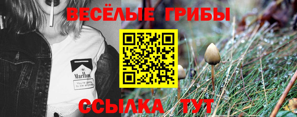 Галлюциногенные грибы мицелий  Вход с VPN  Псилоцибиновые грибы мицелий  Орехово-Зуево 